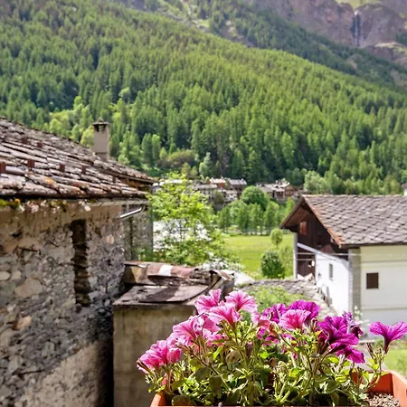 Les Cles - Achillea *